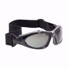 Picture of Fuselage sealed eyewear, gray lens, with temples and strap, 6 pair/bx, PER BOX